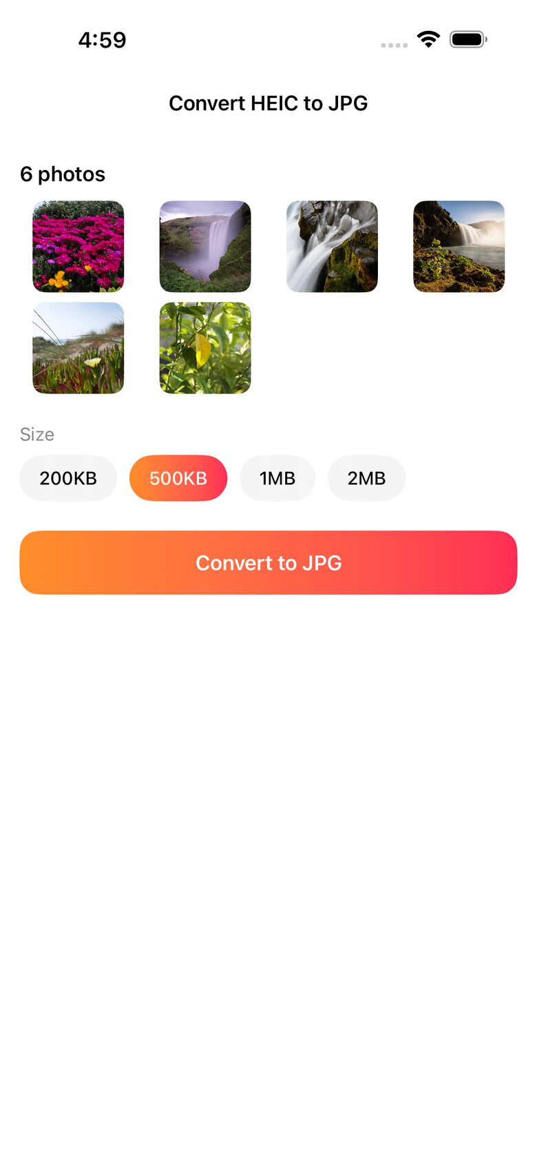 Photos selected and ready for conversion to JPG